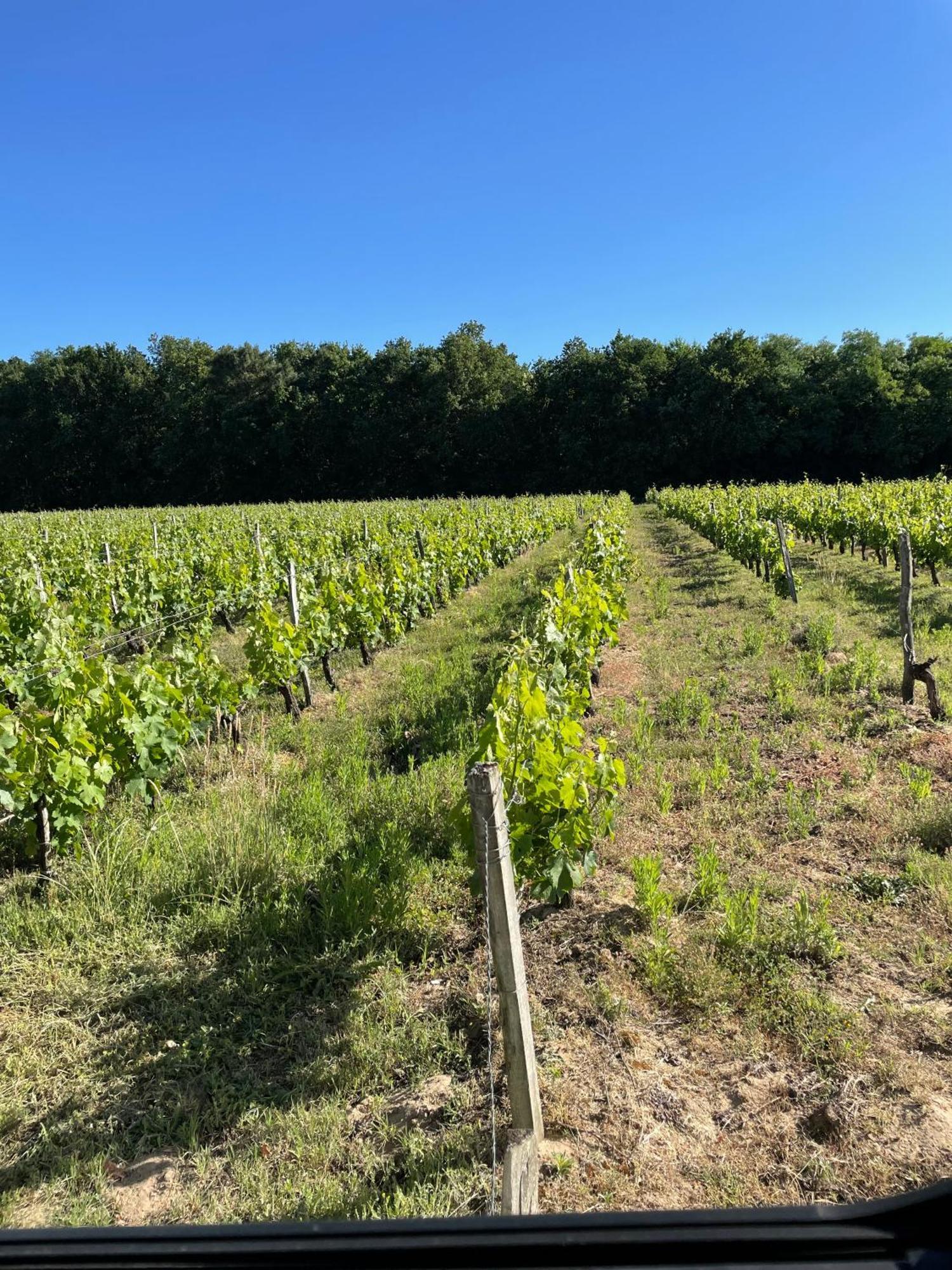 Domaine Des Quatre Terres Vila Lesparre-Médoc Exterior foto